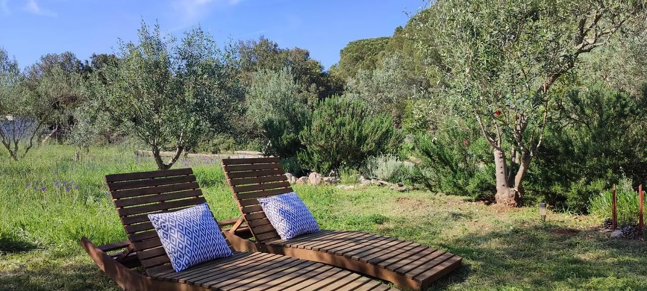 Holiday Home Mola Ugljan