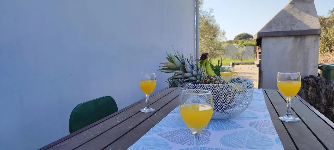 Holiday Home Mola Ugljan Croatia