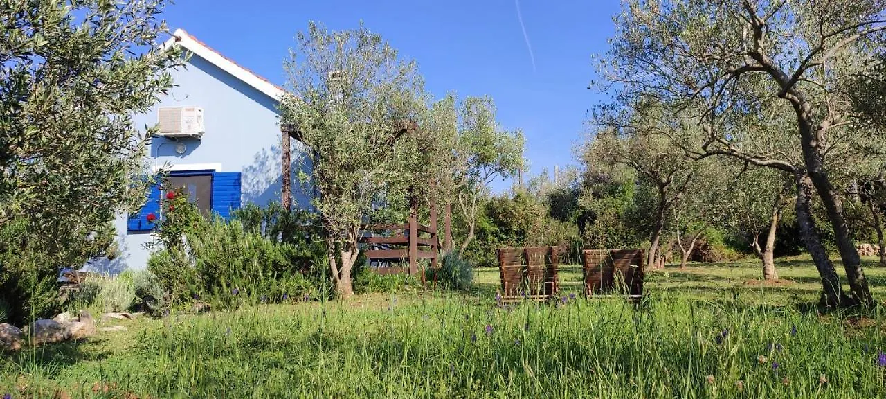 Holiday Home Mola Ugljan Croatia